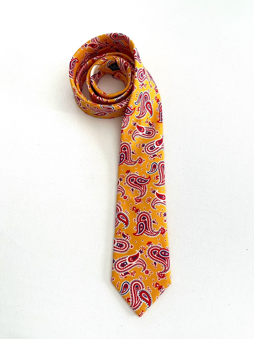 Ben Silver Charleston Silk Paisley Tie